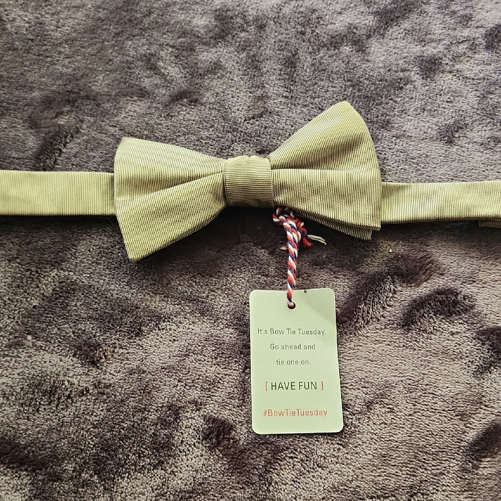 Stylish Antique Gold Bow Tie